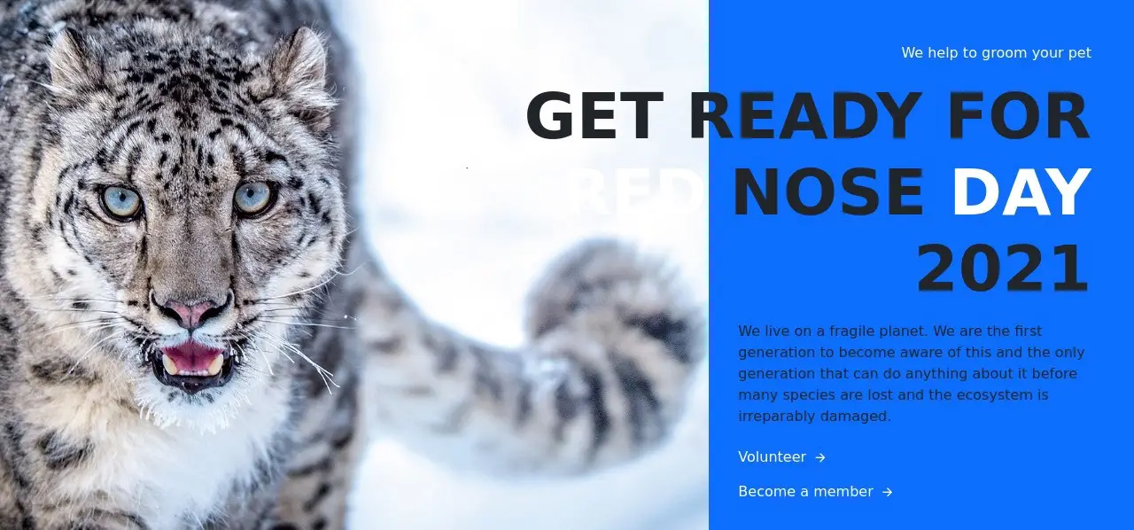 Cat Survival Trust
